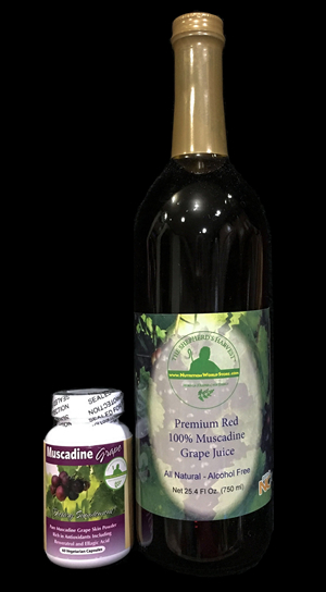 Shepherd's Harvest Muscadine Grape Set